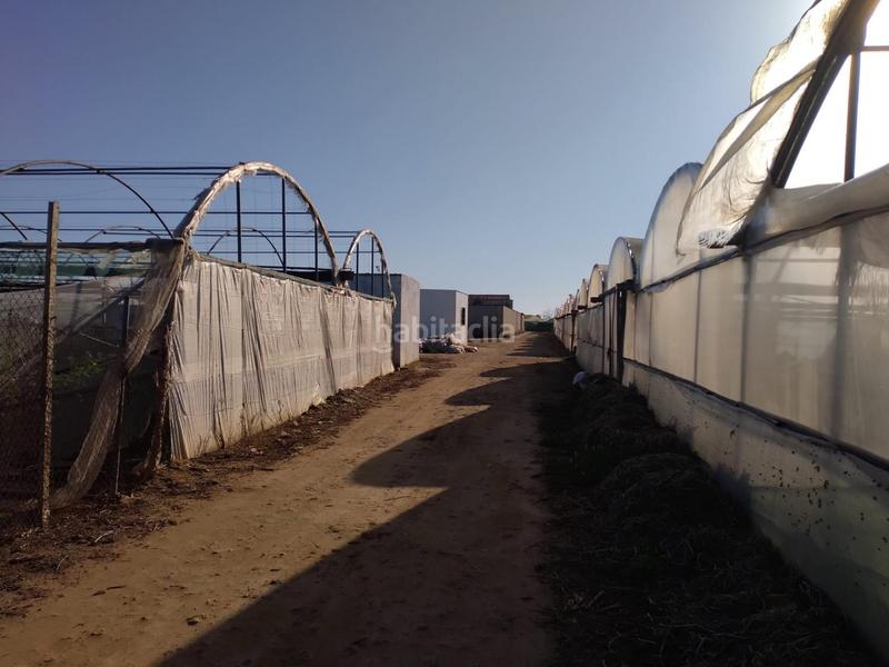 Foto 7058f97c-f1f2-4317-84f2-93e233d2c697. Terreno residenziale in La Jara Sanlúcar de Barrameda