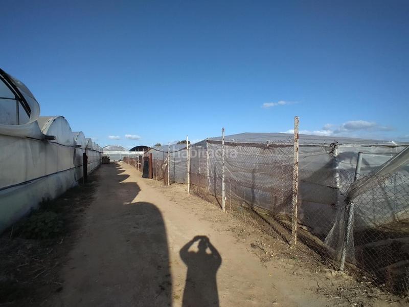 Foto 9c2555e9-b242-402c-b93b-e4fd8150f13f. Terreno residenziale in La Jara Sanlúcar de Barrameda