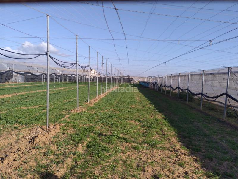 Foto af3a167d-635e-42ea-a034-00d61217471d. Terreno residenziale in La Jara Sanlúcar de Barrameda