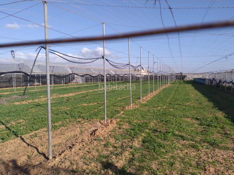 Foto b9b9ee65-379d-44fe-bacd-41c6fec201e7. Terreno residenziale in La Jara Sanlúcar de Barrameda