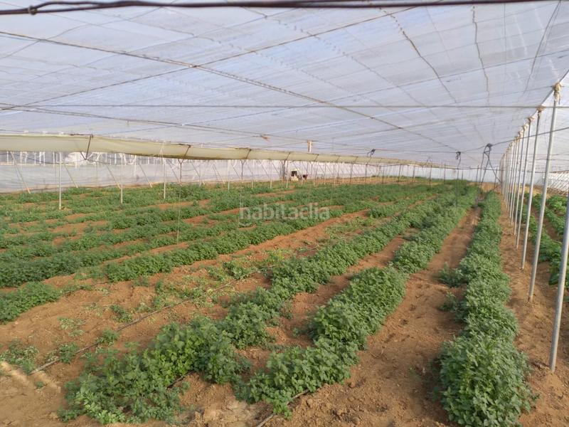 Foto d6a9109e-1dbf-4bfe-a435-ebbb454de3e2. Terreno residenziale in La Jara Sanlúcar de Barrameda