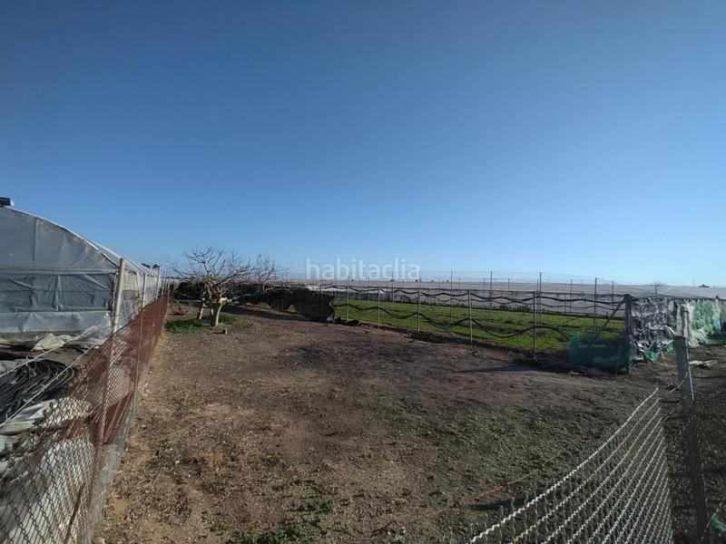 Foto f6bb415c-58b8-49a3-a2f1-1f8d13f60689. Terreno residenziale in La Jara Sanlúcar de Barrameda