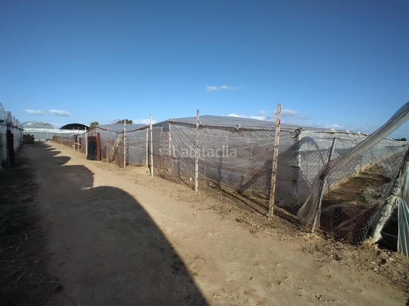 Foto fc9b2af9-3cc7-45bf-87a5-71a290fc4e13. Terreno residenziale in La Jara Sanlúcar de Barrameda