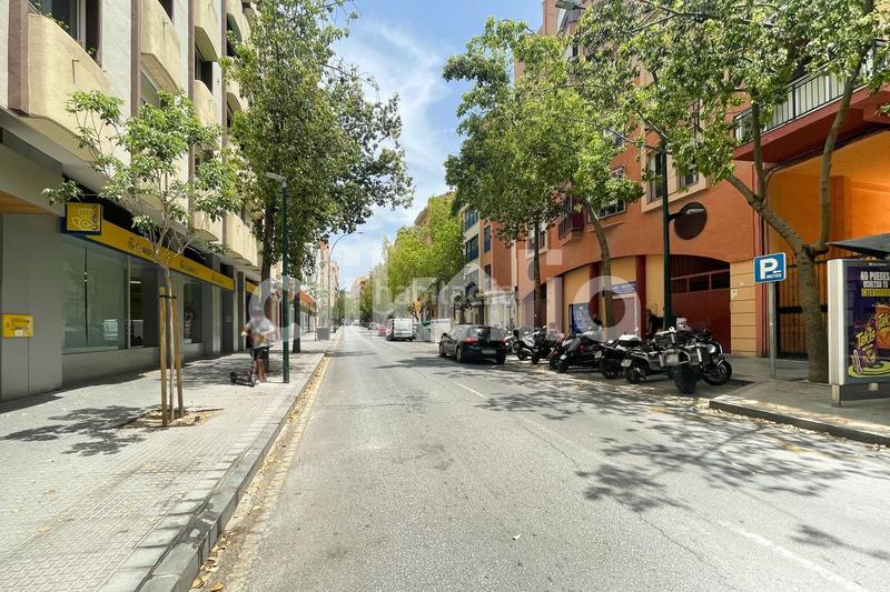 Foto e4a12912-68a4-4618-807b-8f3a0f928bc4. Pis a Cristo de la Epidemia Málaga