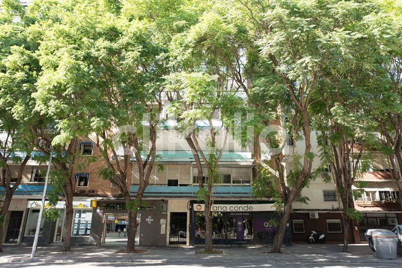 Foto 606f60f1-32fb-4b4f-b5f8-aca3eaae5e10. Piso en El Plantinar - Avda. La Paz - El Juncal Sevilla