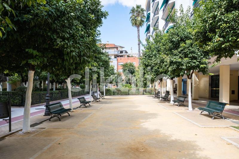 Foto 868a5b80-b39d-4c12-9d70-d786327d8dc1. Pis a Triana Oeste Sevilla