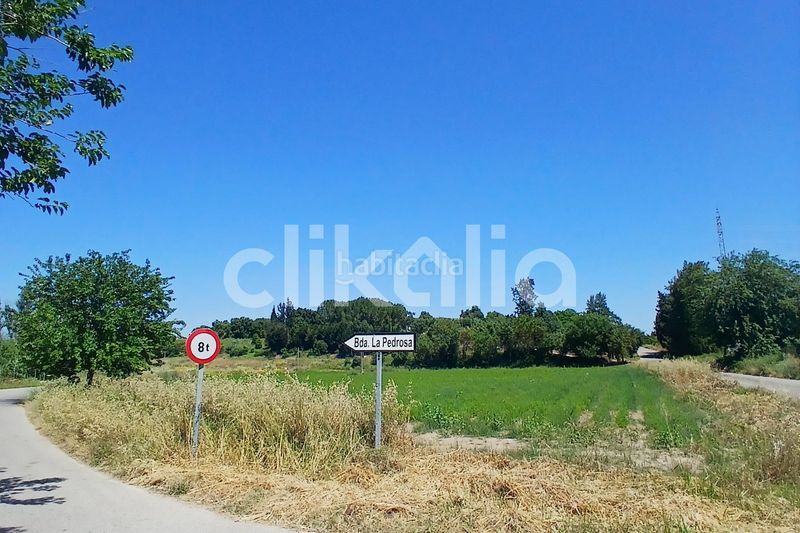 Foto cdf03f72-0234-45d4-8975-5f379095e313. Pis a Arcos de la Frontera