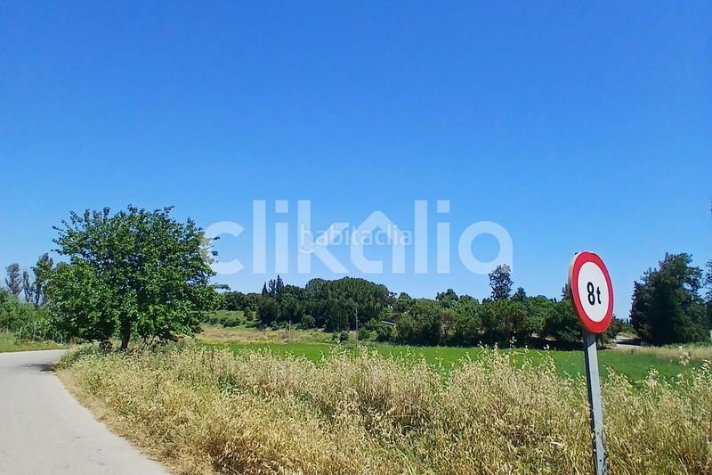 Foto d54da4a9-7175-4df0-9db2-0b4e40193e5a. Pis a Arcos de la Frontera