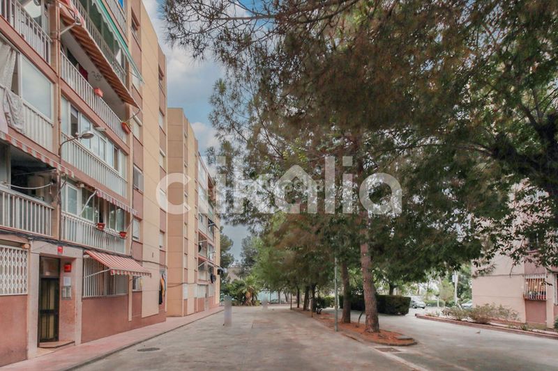 Foto 4c7bdf11-b389-472d-a04c-78e27cf7d382. Pis a Sant Salvador Tarragona