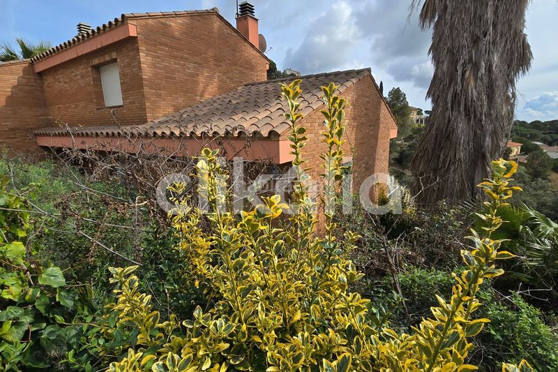 Foto 94c73da1-706d-440d-8a3b-d46f1eacd94d. Casa amb calefacció aparcament piscina a Mas Mora-Sant Daniel Tordera