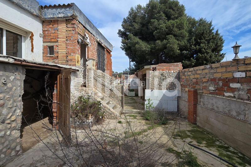 Foto 2a9ad88b-d270-4656-9206-3826a20a5d73. Pis a Alcanar
