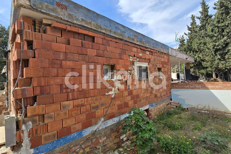 Foto ed6a2e18-fe9b-4350-bdab-f80e3963b56a. Pis a Alcanar