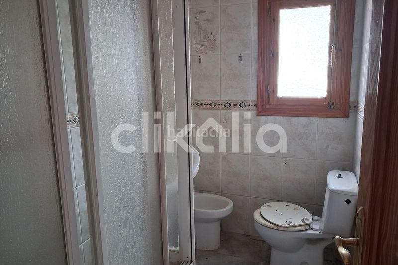 Foto 38c43f3d-4fb0-48ad-a2d3-236404b90371. Pis a Baza