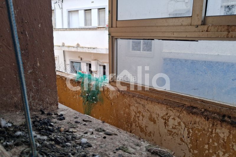 Foto b412848d-328b-410d-8c54-d6a142333978. Pis a Baza