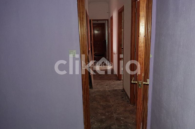 Foto d796b9bb-67e6-45ba-89f7-971f13de2b33. Pis a Baza