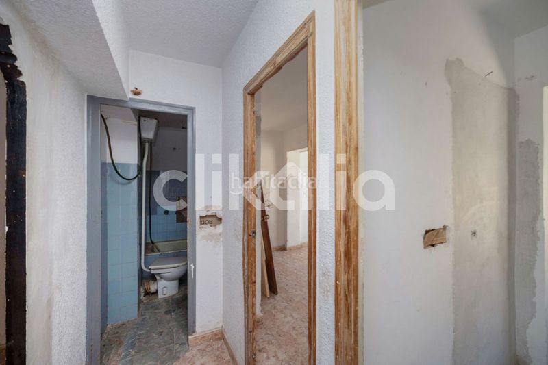 Foto 651ae297-fad4-4e2c-936c-53f19213b210. Pis a Dolores
