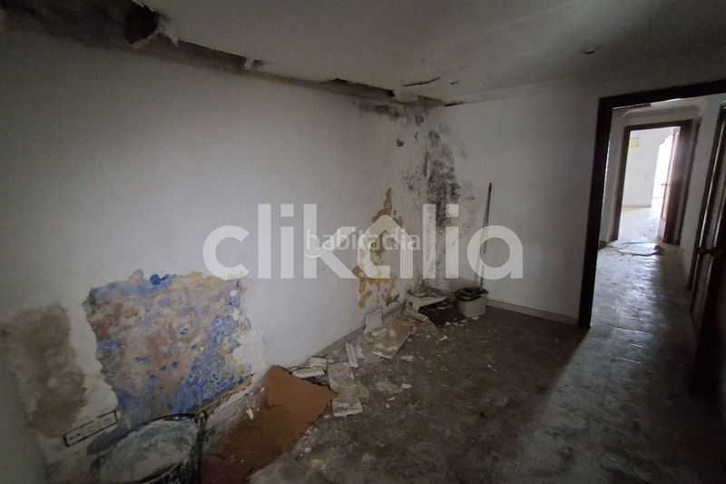 Foto 3fbcc887-68bc-462a-ae2e-32e921b25dc7. Pis a Móra la Nova