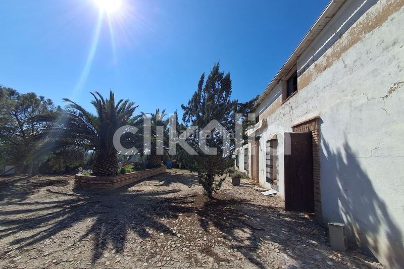 Foto 25767e9a-7a65-4aa9-95c7-20e3300eb30f. Casa amb piscina a Arjona