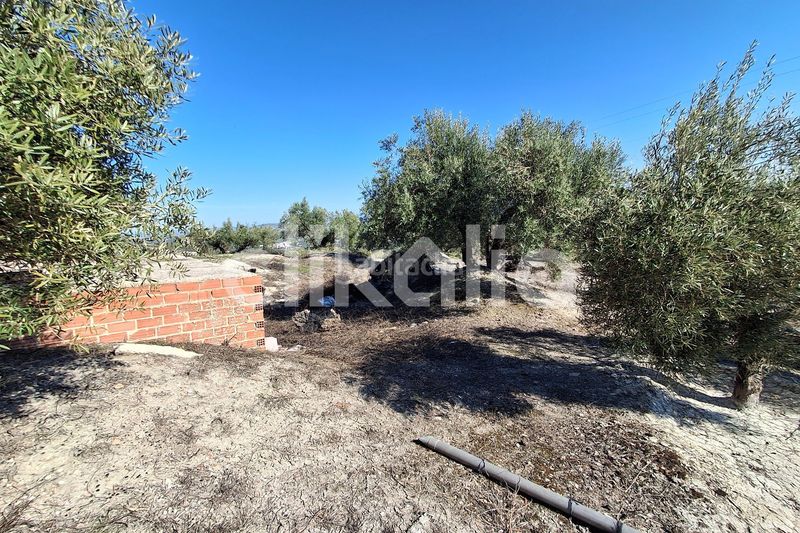 Foto d18a0c9d-3908-403b-bb11-d90c185bd51f. Casa amb piscina a Arjona
