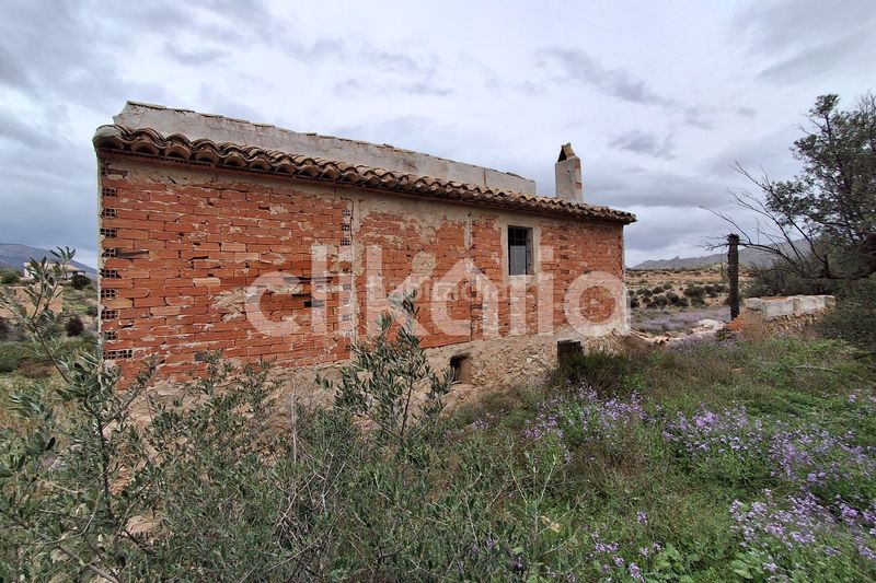 Foto 332d4270-1952-4061-8047-b01af0421142. Masia a Ricote