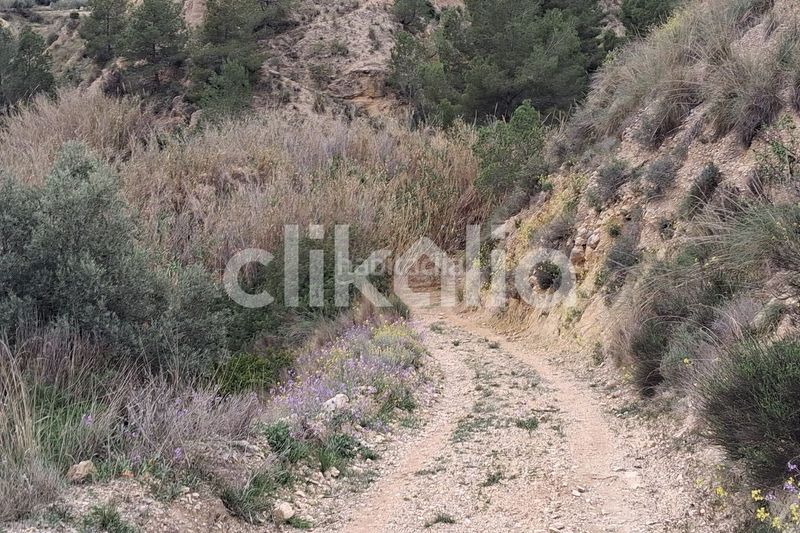 Foto 4973f4a1-ae47-4ec5-9e6a-d9f3df4180d8. Masia a Ricote