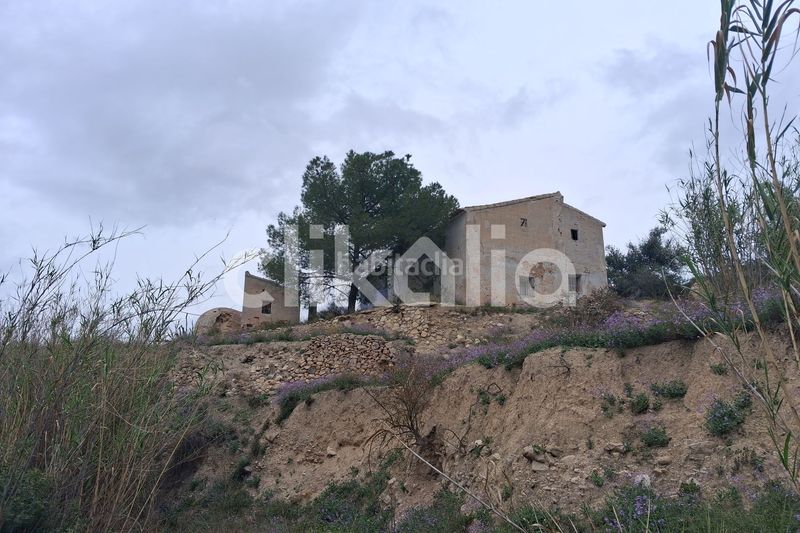 Foto 67e8cc1c-48ad-4e03-b48e-8833eb3366e6. Masia a Ricote