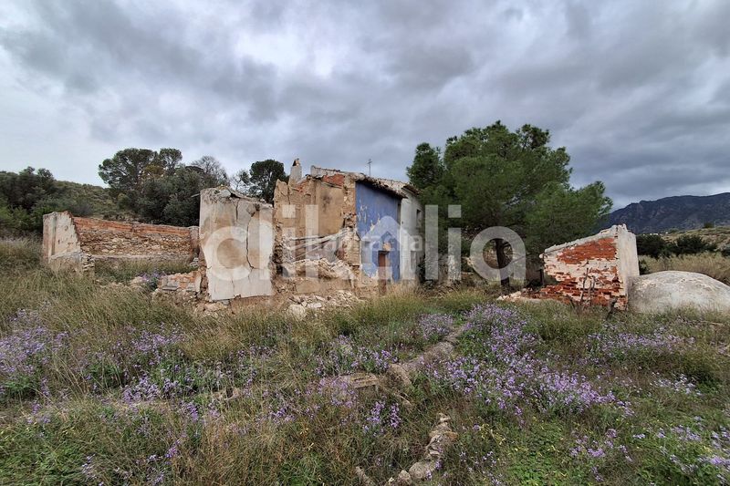 Foto 894481ef-691e-4ad5-aebd-3d997e68a048. Masia a Ricote