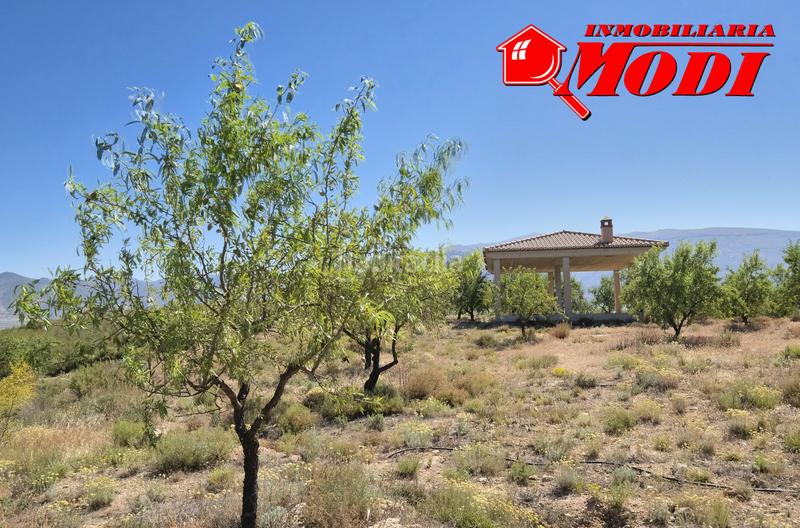 Foto 317b6a64-987f-40ca-a008-550738a0d80d. Masia a Villamena