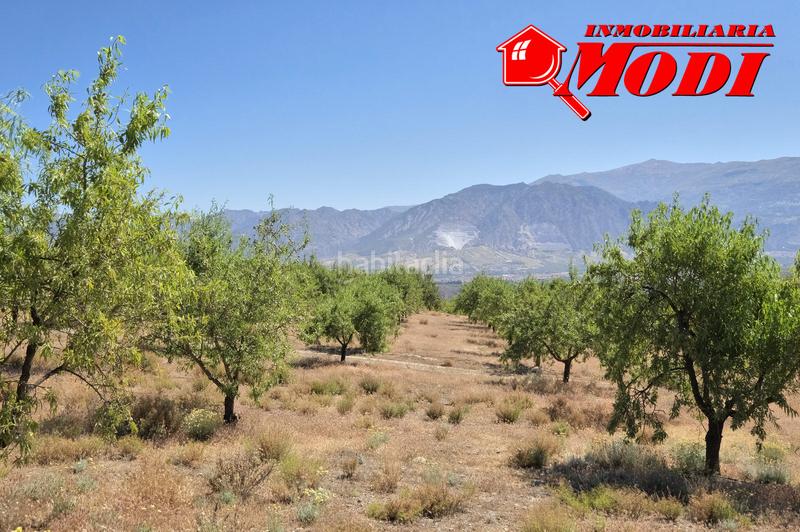 Foto 671811c7-f5c0-4774-aca9-953461bf902c. Masia a Villamena