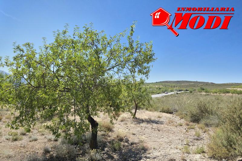 Foto 8a5ffa08-28fd-4816-891a-10425582912a. Masia a Villamena