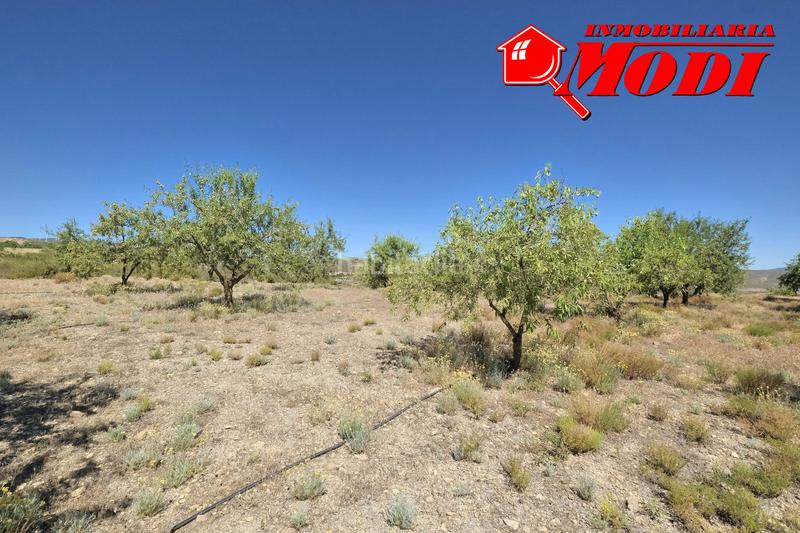 Foto 9cec03a0-b62d-46fd-8d9b-0160510f404b. Masia a Villamena