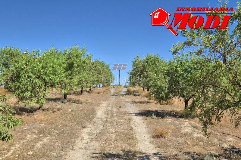 Foto 9e6aa534-4887-4064-a7ba-387060e776d6. Masia a Villamena