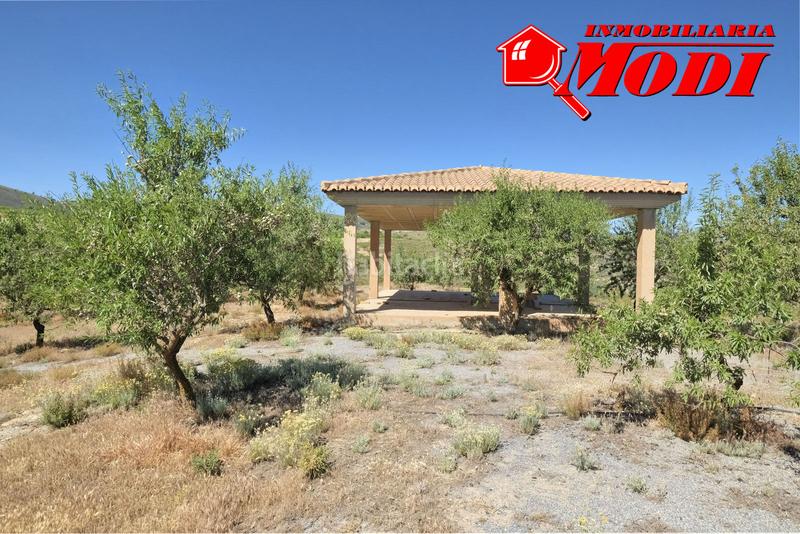 Foto a4dfad46-4a7f-4d10-8aeb-6ed50b5fb7e0. Masia a Villamena