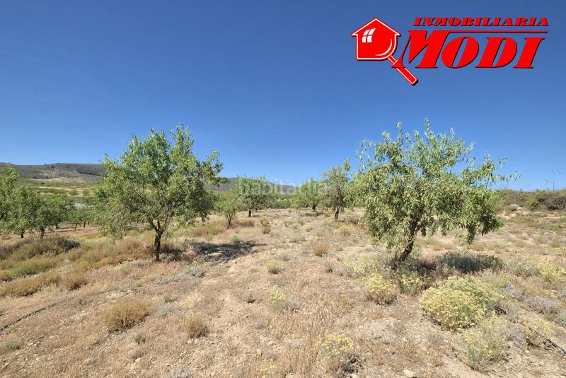 Foto b6fca13b-4dec-4dea-8542-01576137c9ba. Masia a Villamena