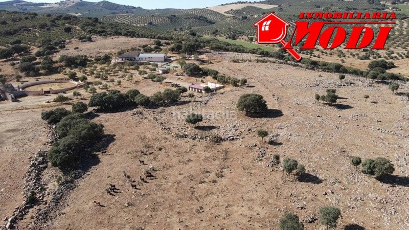 Foto 12bb709d-e6b1-46ef-bcd1-b7638c1a50c5. Masia amb piscina a Íllora