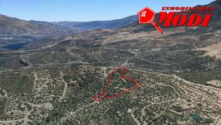 Terreny residencial a Valle (El). Finca en saleres de 5304 m2 de regadío por goteo distribuida en
