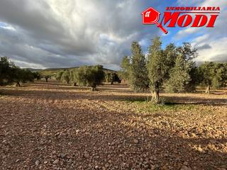 Terreny residencial a Villamena. Esta finca ,con algo más de una hectárea de tierra 10.509 m2 sem