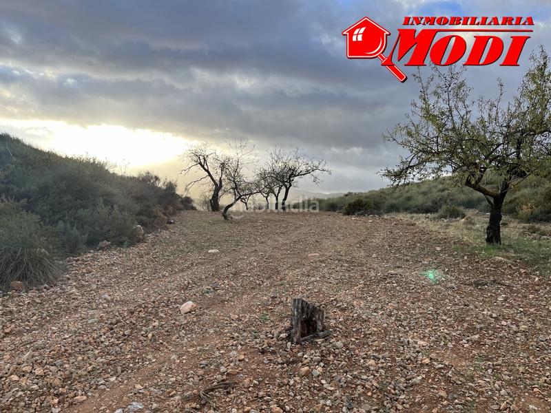 Foto 2aead0b6-b064-4e32-951c-138fb7a5c743. Terreno residencial esta finca ,sita en conchar con algo más de una hectárea de tierra 10.509 m2 sembrada de olivos 25 aprox. y almendros 50 aprox. en Villamena