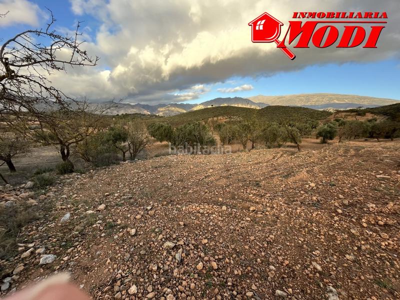 Foto 5b391ca9-d9e4-44ab-8590-a171e6d941a3. Terreno residencial esta finca ,sita en conchar con algo más de una hectárea de tierra 10.509 m2 sembrada de olivos 25 aprox. y almendros 50 aprox. en Villamena