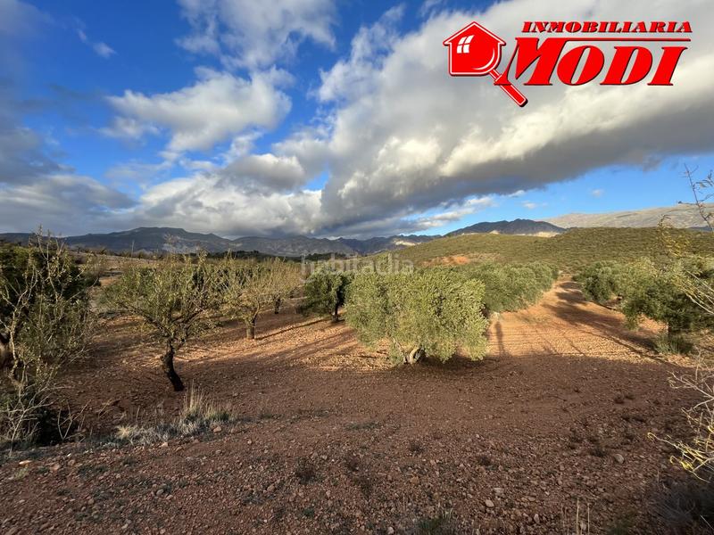 Foto 6fbf99a1-99ef-44ee-aa48-7d784b0a2d5d. Terreno residencial esta finca ,sita en conchar con algo más de una hectárea de tierra 10.509 m2 sembrada de olivos 25 aprox. y almendros 50 aprox. en Villamena