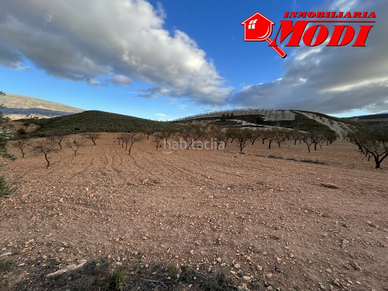 Foto 84d989bb-18a5-48a5-a663-621743e8a333. Terreno residencial esta finca ,sita en conchar con algo más de una hectárea de tierra 10.509 m2 sembrada de olivos 25 aprox. y almendros 50 aprox. en Villamena