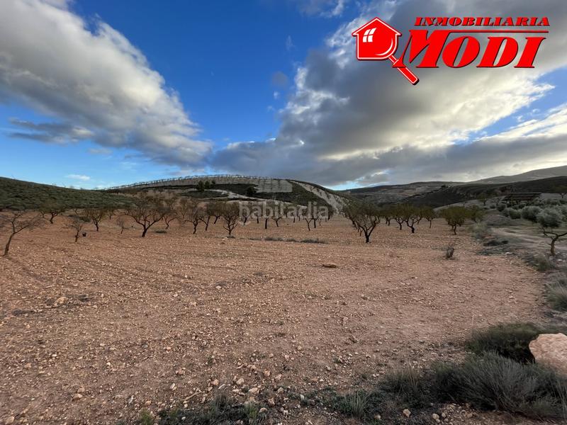 Foto 86a6a18b-528d-4bc6-b8cf-e1c47a5d86d4. Terreno residencial esta finca ,sita en conchar con algo más de una hectárea de tierra 10.509 m2 sembrada de olivos 25 aprox. y almendros 50 aprox. en Villamena