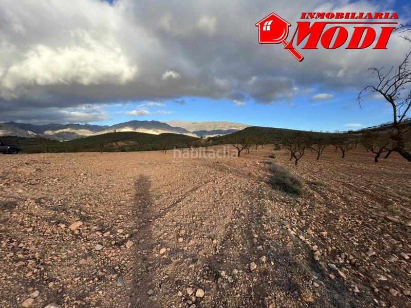Foto 93df09e5-4510-4277-b972-9f61dc80b3bf. Terreno residencial esta finca ,sita en conchar con algo más de una hectárea de tierra 10.509 m2 sembrada de olivos 25 aprox. y almendros 50 aprox. en Villamena