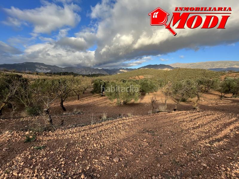 Foto afe94a2c-9288-4042-b0f3-0e5bf8958dd1. Terreno residencial esta finca ,sita en conchar con algo más de una hectárea de tierra 10.509 m2 sembrada de olivos 25 aprox. y almendros 50 aprox. en Villamena