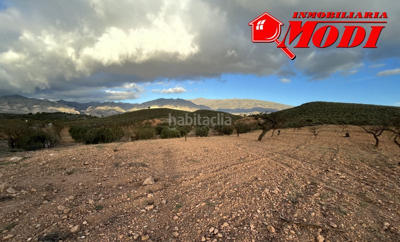Foto e1198585-df81-4433-8767-a6016b5eb57c. Terreno residencial esta finca ,sita en conchar con algo más de una hectárea de tierra 10.509 m2 sembrada de olivos 25 aprox. y almendros 50 aprox. en Villamena