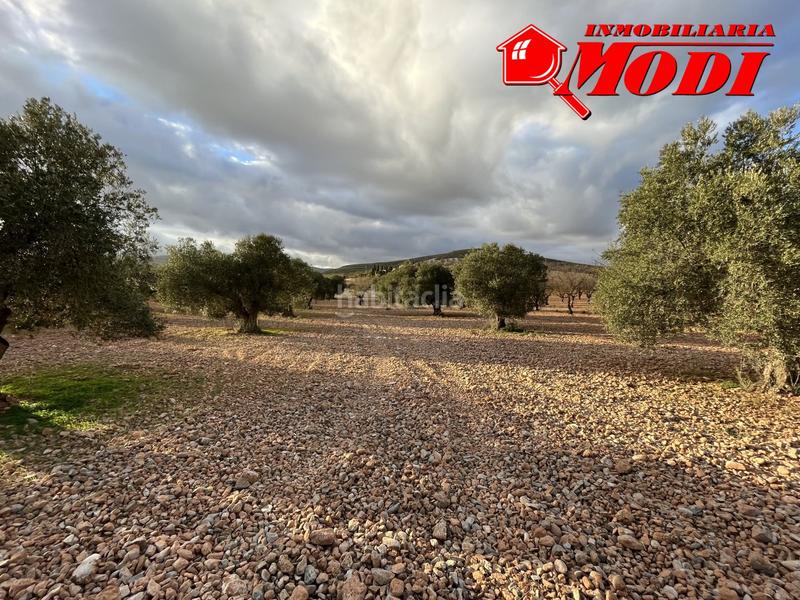 Foto e797330a-10ba-449a-b6d6-0b7600554373. Terreno residencial esta finca ,sita en conchar con algo más de una hectárea de tierra 10.509 m2 sembrada de olivos 25 aprox. y almendros 50 aprox. en Villamena