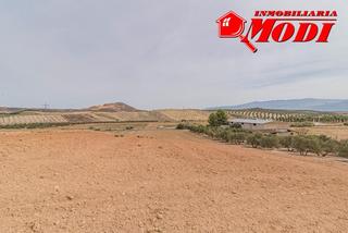 Terreny residencial a Malahá (La). Se vende esta bonita haza de tierra de secano en termino de la m