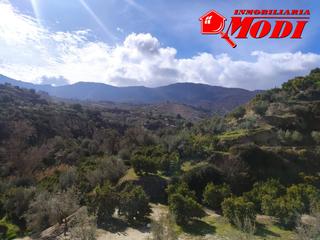 Terreny residencial a Valle (El). Hoy os presentamos una magnífica finca de riego ,en el hermoso y