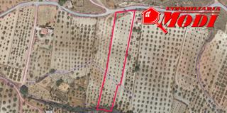 Wohngrundstück in Padul. Puedes imaginarte en este bonito lugar? rodeado de olivos  88 ap