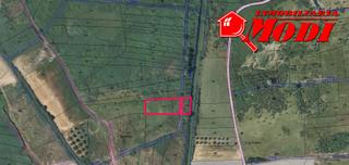 Terreny residencial a Padul. Si llevas tiempo buscando finca de regadio y el hecho es que no
